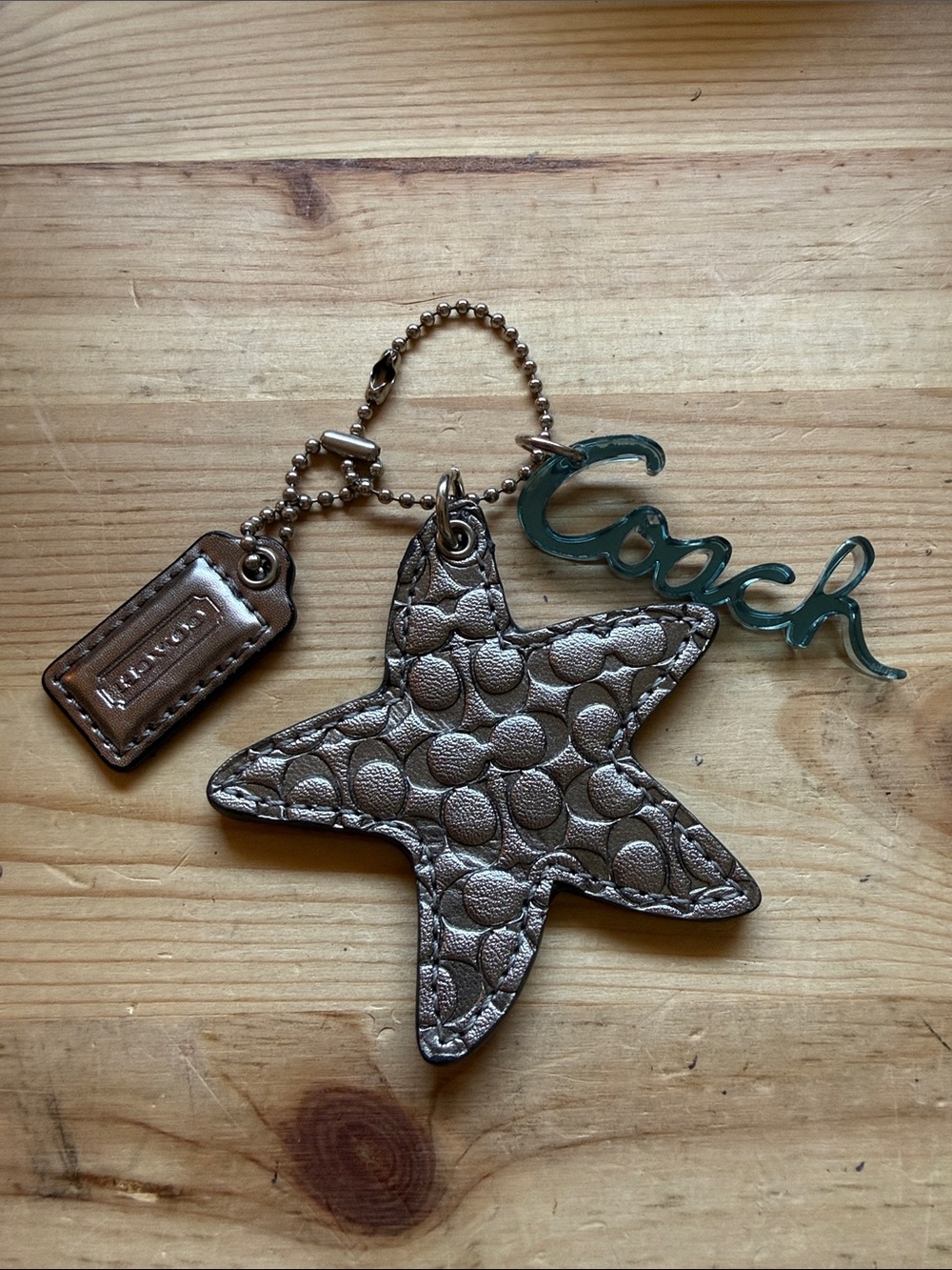 Coach Poppy Era Silver Metallic Leather Charm Set